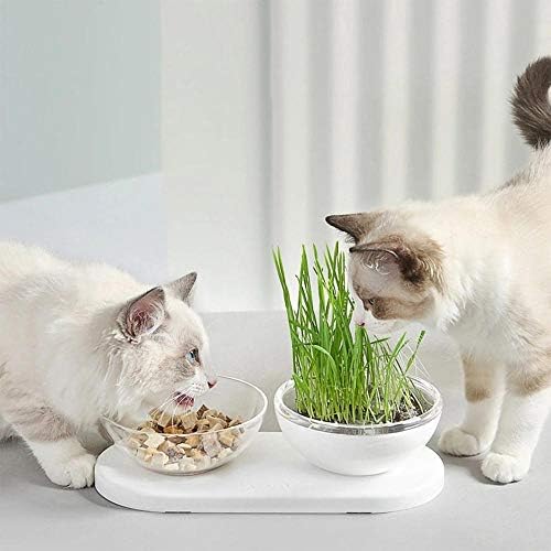 קערות חתולים של Ptvrshoping, הביאו דשא שחתולים יכולים לאכול, 5 ° ו- 10 ° פלטפורמה מוטה פלטפורמה קערה כפולה