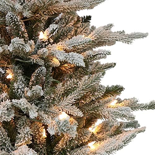 Puleo International Pre Lit 2 'עציץ עציץ עץ נוהר עץ חג המולד מלאכותי ארקטי, ירוק