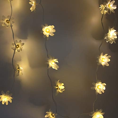 Cvhomedeco. אורות מיתר חיננית לבנים פרחי משי מלאכותיים סוללה מופעלת עם פיות טיימר אורות כוכבים לבית