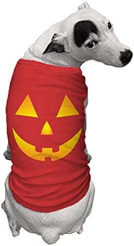 פנים דלעת - חולצת כלבים של ג'ק או פנס