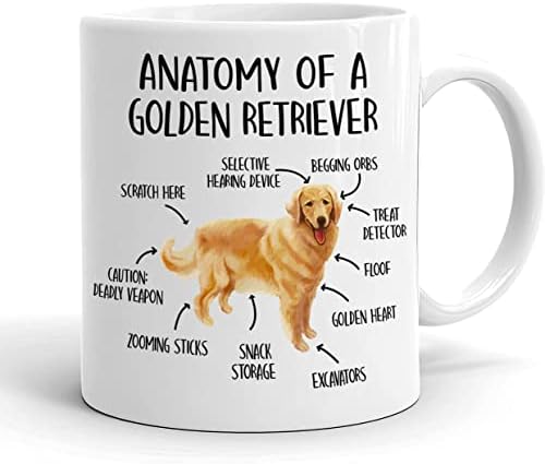האנטומיה של גולדן רטריבר ספל - חמוד גולדן רטריבר ידע קפה ספל-כלב אוהבי מתנה ספל-קרמיקה קפה כוס 11