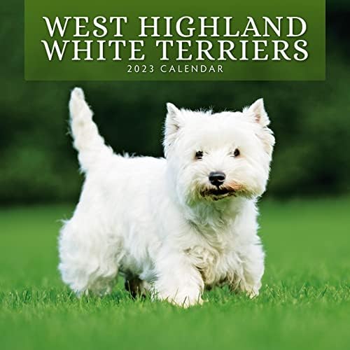 2023 לוח השנה החודשי West Highland White White Caln