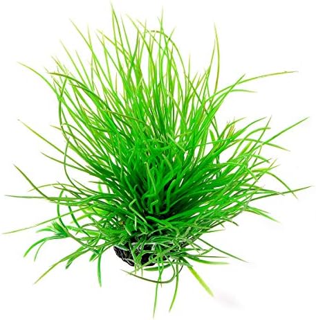קישוט צמחי פלסטיק מלאכותי של סיים ארוך דשא דשא דשא דשא דקור אקווריום צמחי אקווריום קישוט ירוק 1 חתיכה