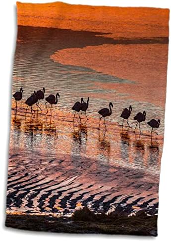 3drose altiplano, bolivia, laguna colorada, flamingos עם Sunset. - מגבות