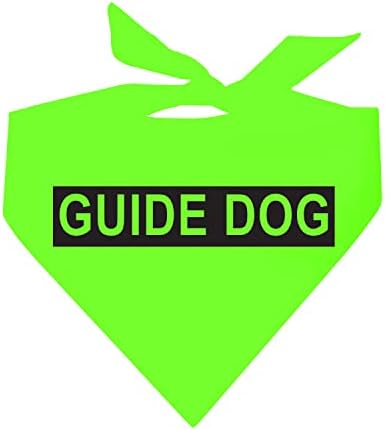 מדריך כלב שירות כלב בנדנה רואה עין כלב עבור עיוור