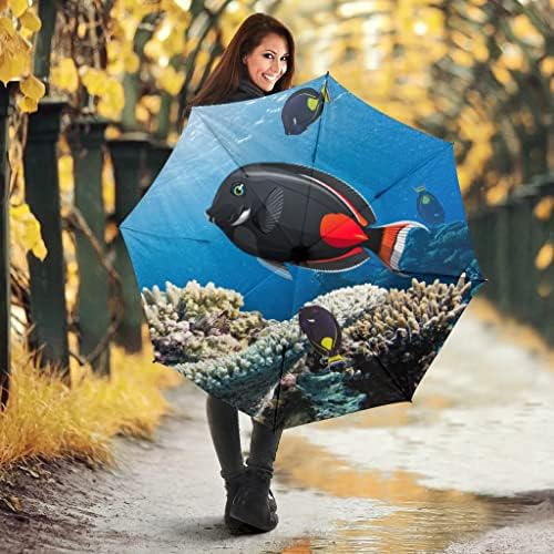 מטריות הדפסת דגים אכילס טאנג מטרייה בגודל אחד - אכילס טאנג מטריות הדפסת דגים