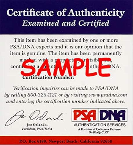 דן פוטס PSA DNA חתום על COA 8x10 חתימות חתימה מטענים