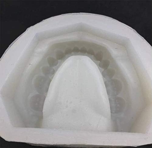 דגם שיניים של דגם סוזאטה, דגם לימוד שיניים שיניים מייצרות דגמי טיח, דגם דגמי דגמת סיליקון סיליקון