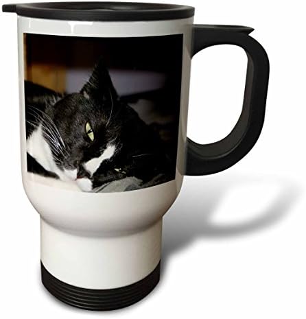 3drose טוקסידו חתול שחור לבן בשכיבה עין אחת פקוח ספל נסיעות, 14 גרם, רב צבעוני
