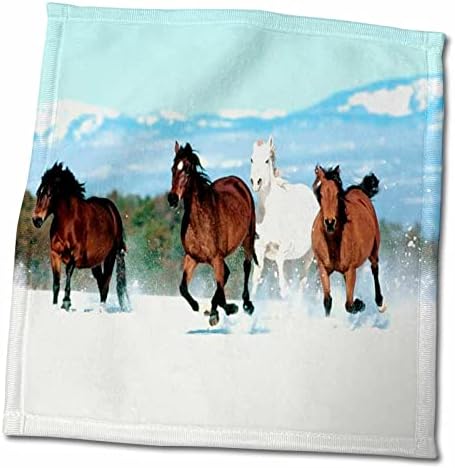3 סוסים יפים שרצים במגבת השלג, 15 x 22, לבן