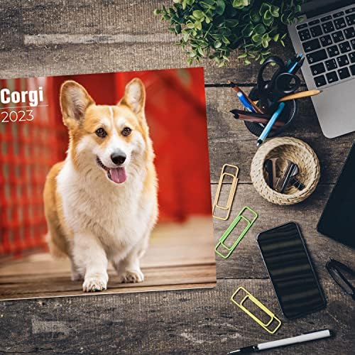 2022 2023 CORGI לוח שנה - גזע כלבים לוח שנה קיר חודשי - 12 x 24 פתוח - נייר עבה ללא דימום - מתנה -