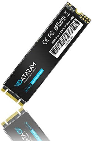 Dataram M.2 SSD 256GB, M.2-2280 פרוטוקול SATA כונן קשיח פנימי, 550MB/S 6GBPS, ביצועים גבוהים למחשב נייד, שולחן