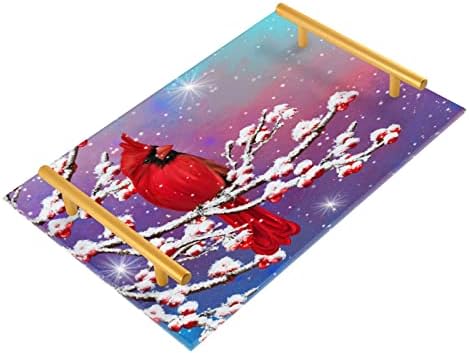 Caikeny Cardinal חורף ציפור שלג שלג אמבטיה מגש יהירות ברי מארגן דלפק מארגן מגש מגש תכשיטים מחזיק