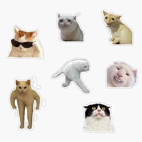 Lad Studio Cat Memes מדבקת מדבקה מדבקה ויניל פגוש מדבקה מדבקה אטומה 5
