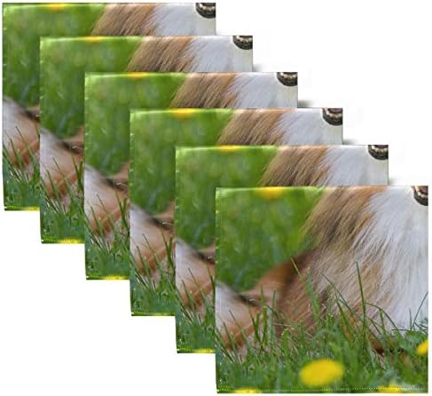 Enevotx מפיות מפוארות מפואות חמוד סייבל לבן שטלנד רעב שלל שללטי קוקטייל מודרני מפיות 20 x 20 אינץ