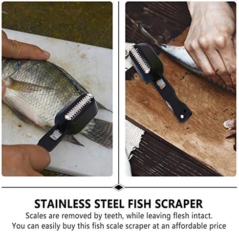 גנרי 3 יחידות דגי עור סקלר עם ברור כיסוי נירוסטה דגים בקנה מידה מסיר פלסטיק בקנה מידה מגרד פלסטיק דגים