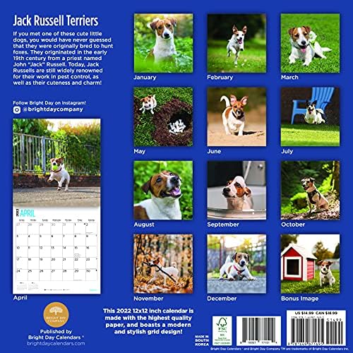 2022 לוח השנה של ג'ק ראסל טריירס קיר לפי יום בהיר, 12X12 אינץ ', גור כלבים חמוד