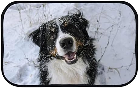 שטיח דלת אמבטיה רכה של ונטסו שטיח קולי חמוד כלב על שלג ללא החלקה מחצלות כניסה