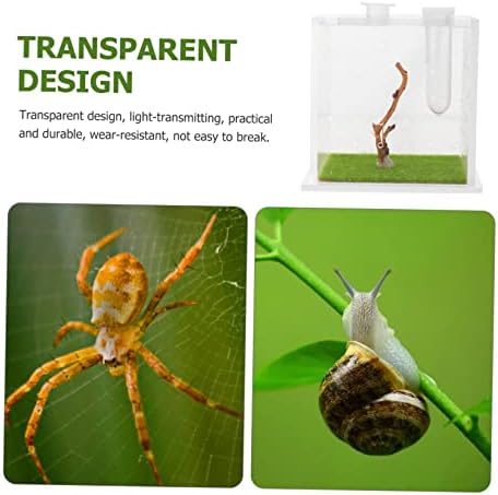 4 יחידות תיבת קפיצות עכביש רבייה תיבת חילזון חממה ברור מיכל שקוף קפיצות עכביש כלוב ברור עיצוב עכביש תיבת
