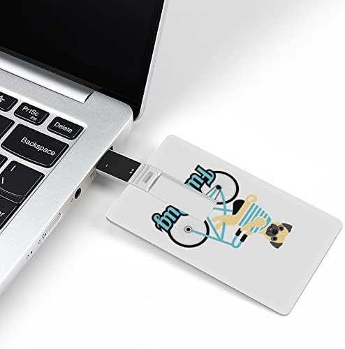 כרטיס פאג חמוד USB 2.0 כונן הבזק 32 גרם/64 גרם דפוס מודפס מצחיק