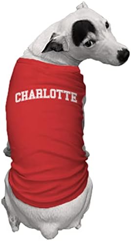 אורלנדו - חולצת כלבים של בית הספר לעיר ספורט.