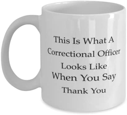 ספל קצין תיקון, כך נראה קצין תיקון כשאתה אומר תודה, חידוש רעיונות מתנה ייחודיים לקצין תיקון,